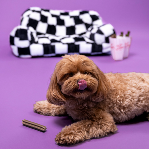Do Dental Sticks Really Work?