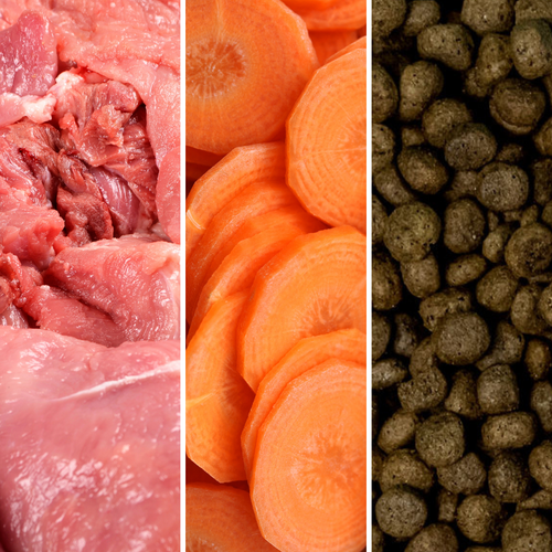 Do dogs really need to eat meat?