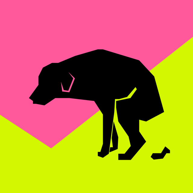 Dog Poop: The Ultimate Breakdown – What Your Dog’s Stool Says About Their Health