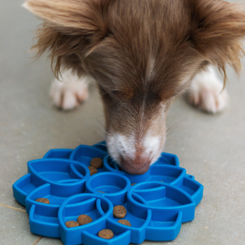 How to Slow Down Greedy Dogs