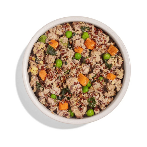 A complete guide to hypoallergenic wet dog food