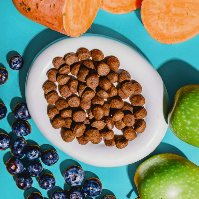 bowl of kibble surrounded by some fresh fruit and vegetables