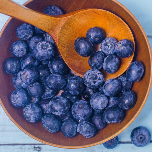 Can Dogs Eat Blueberries? | Everything You Need to Know