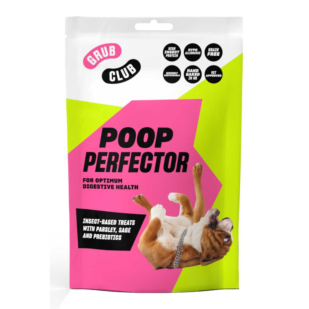 Grain free dog 2024 food more poop