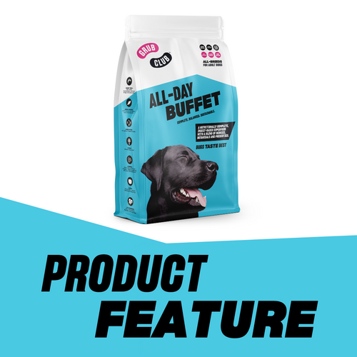 Insect dog food uk