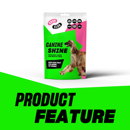 Hypoallergenic dog treat