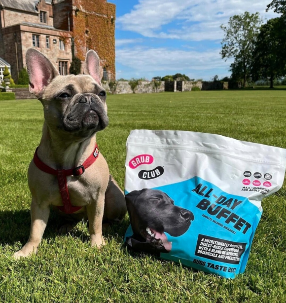 How to Tell if Your Dog Has a Food Allergy (And What to Do About It)