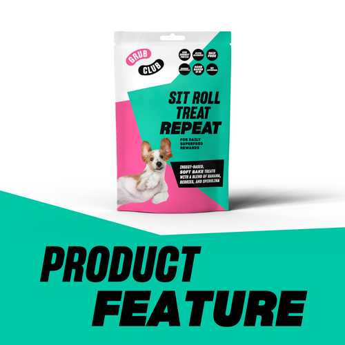 Hypoallergenic dog treats