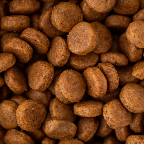 The Kibble Clash: Exploring the Benefits of Extruded Kibble for Your Dog