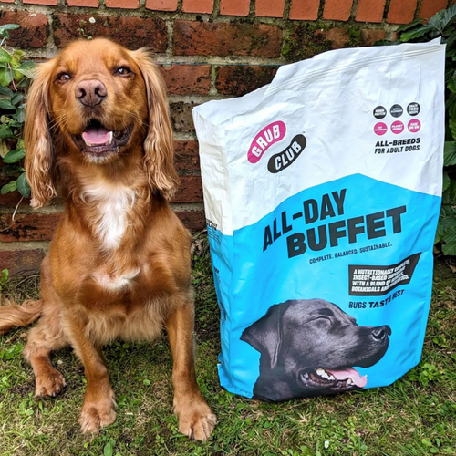 Busting The Myths About Insect Dog Food