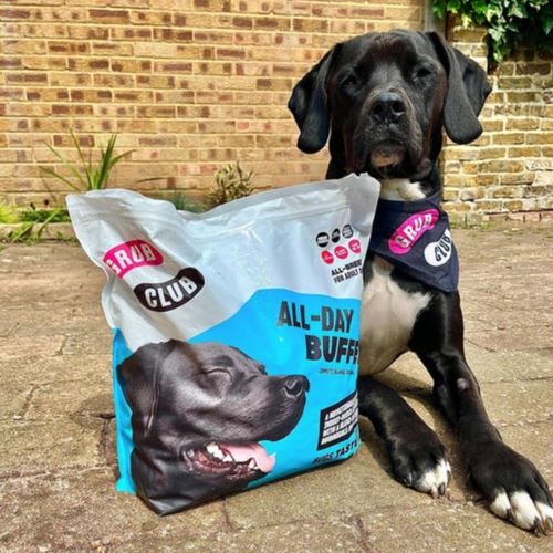 Insect based dog food