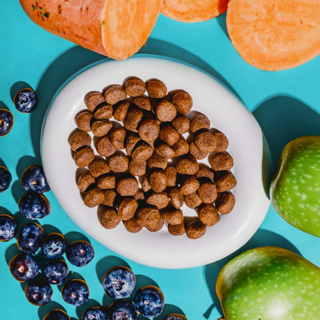 bowl of kibble surrounded by some fresh fruit and vegetables