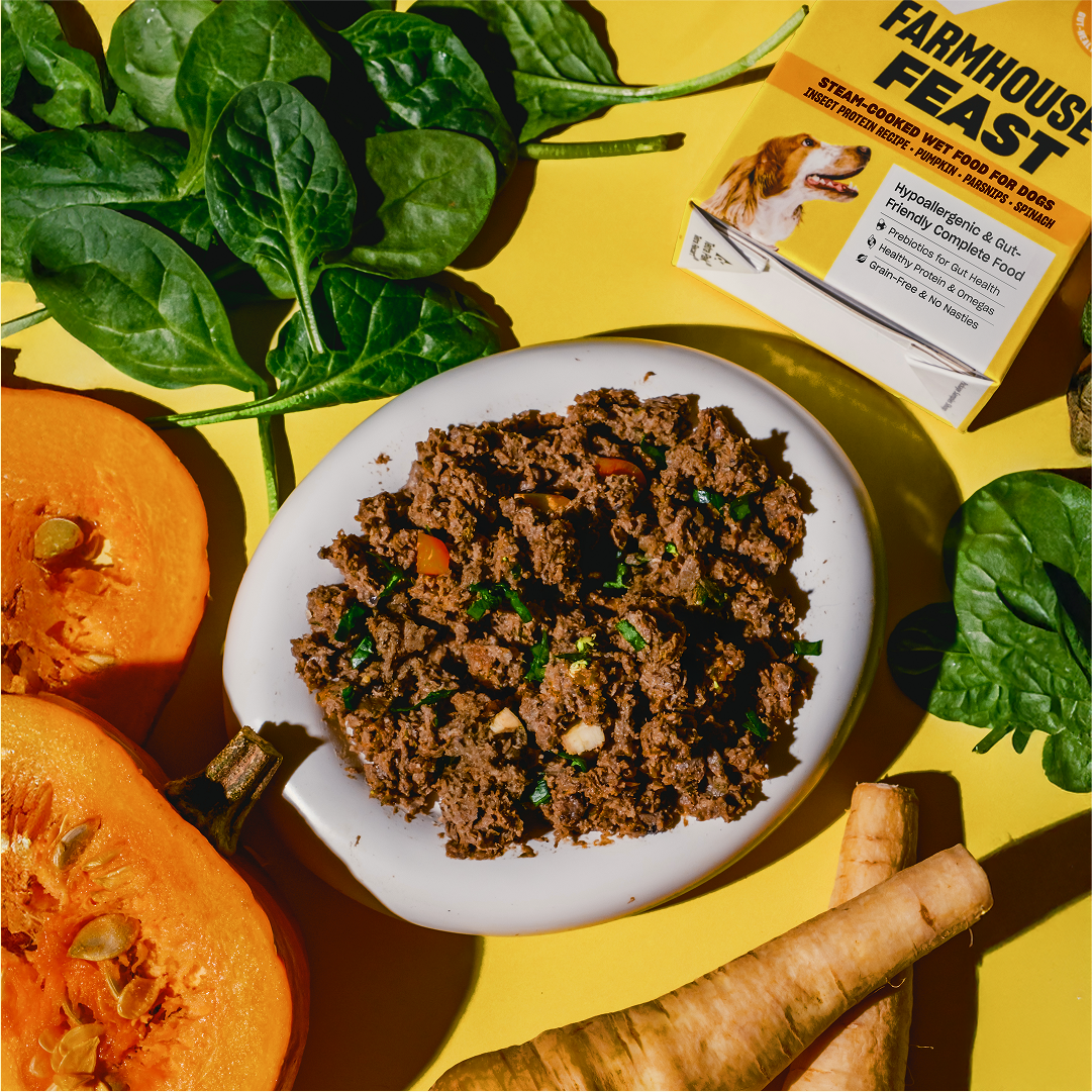 What Makes a Hypoallergenic Dog Food?