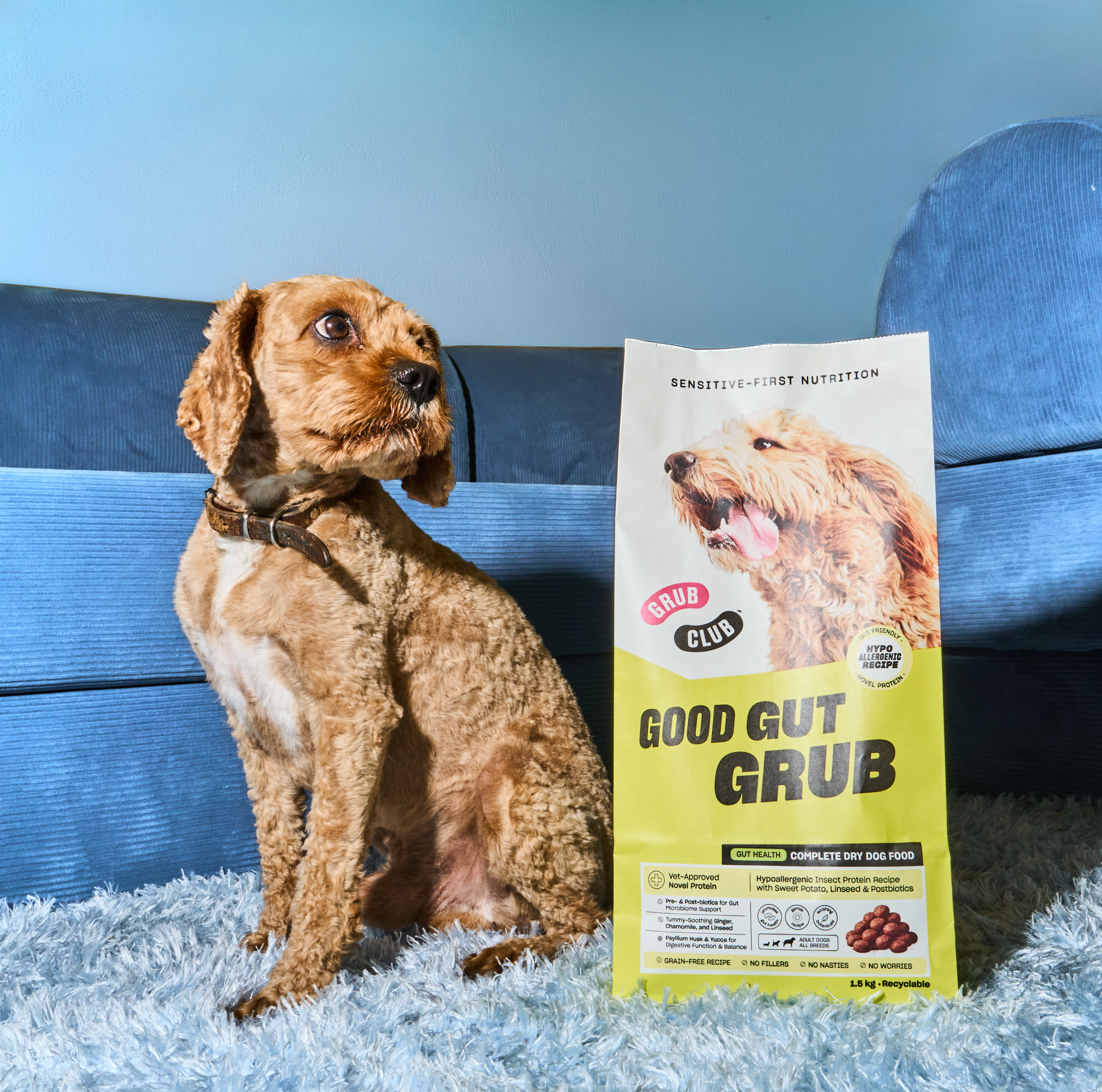 Dog Food for Sensitive Stomachs – What to Expect During the Transition