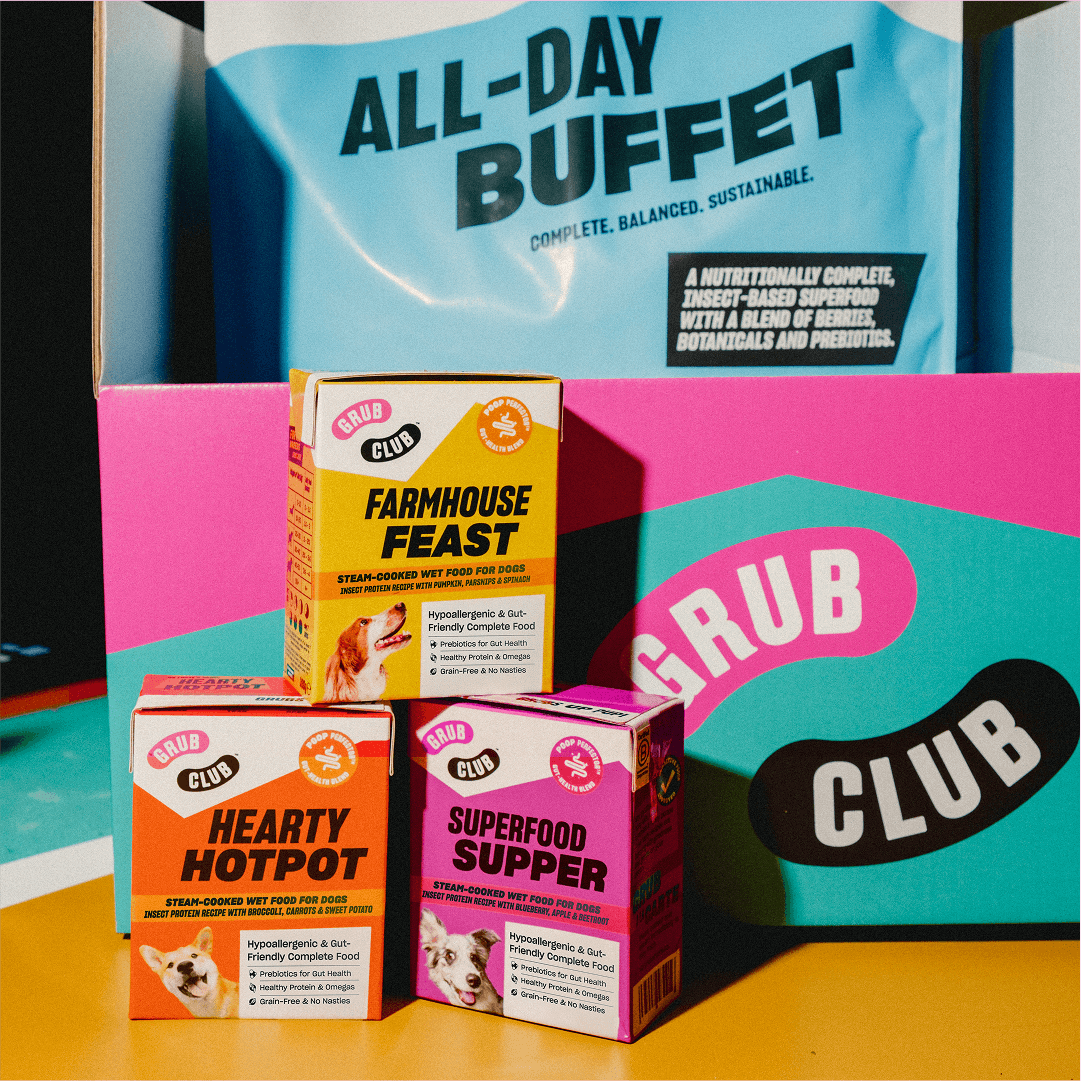 Are insect protein diets good for dogs?