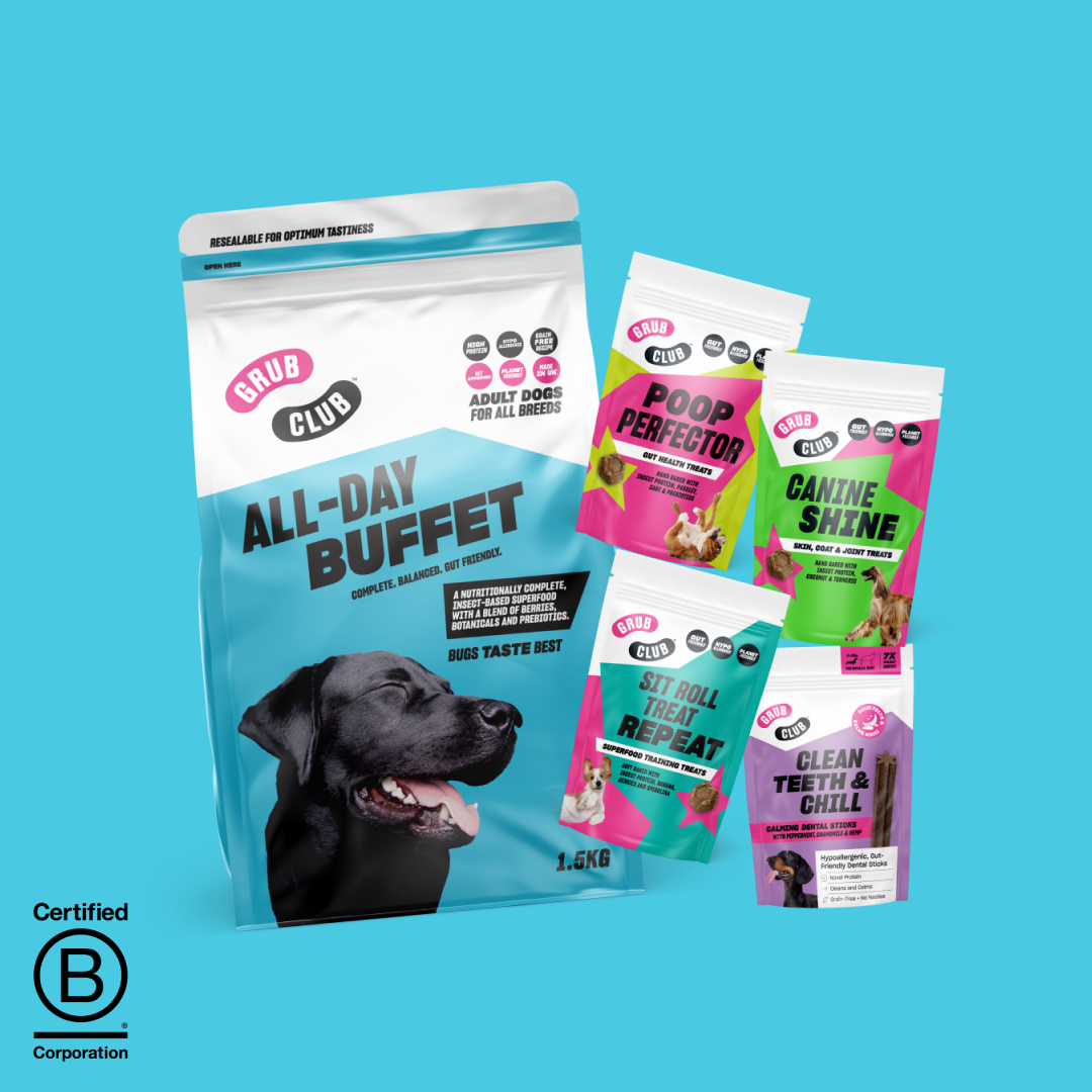 INTRO BUNDLE (1.5kg)