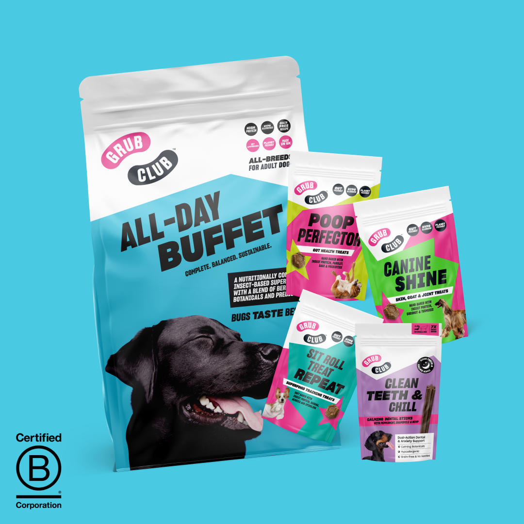 INTRO BUNDLE