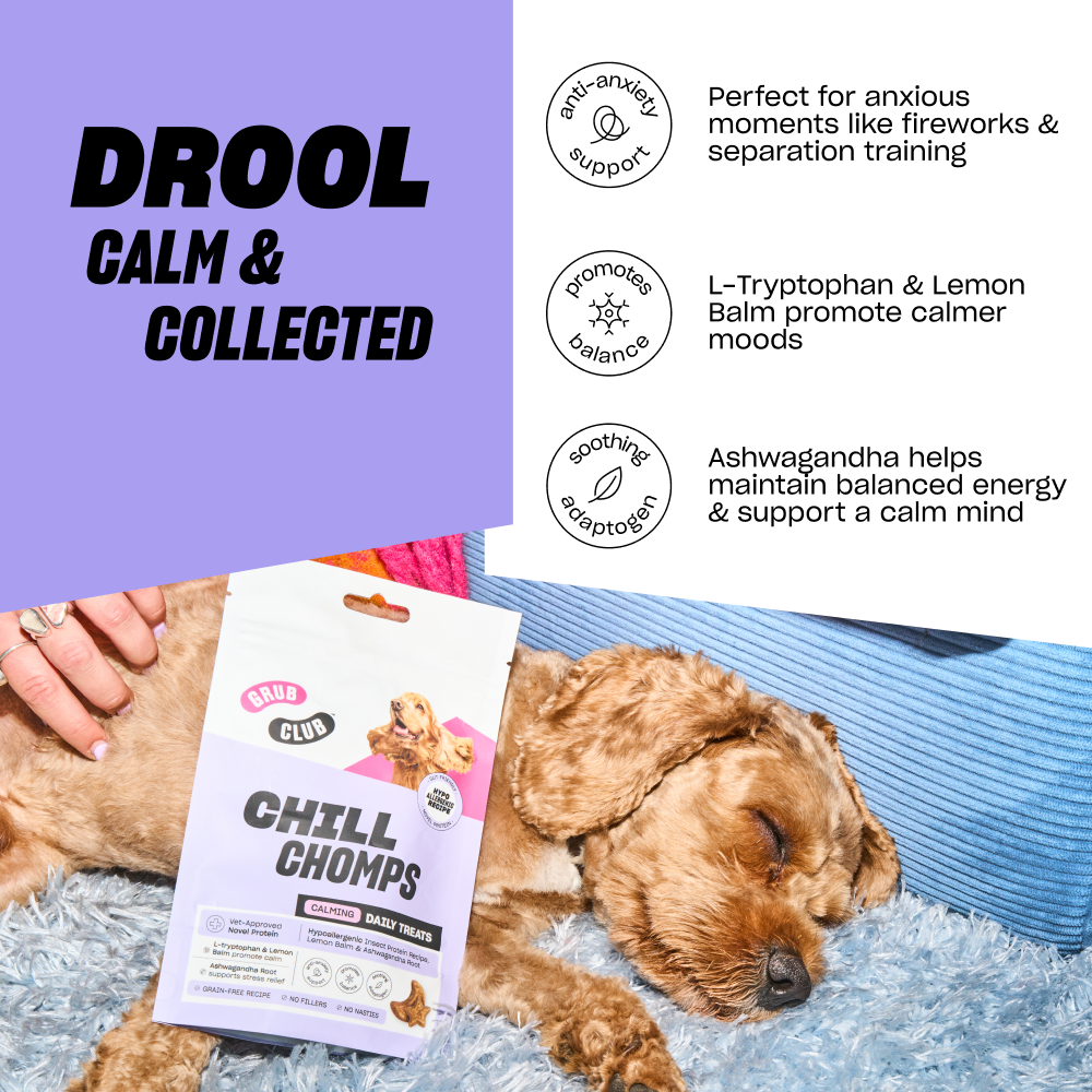 CHILL CHOMPS