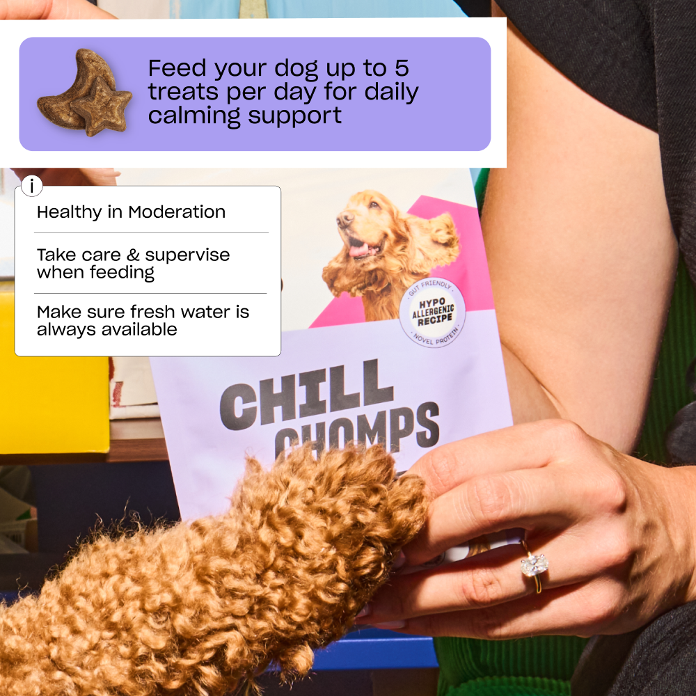 CHILL CHOMPS