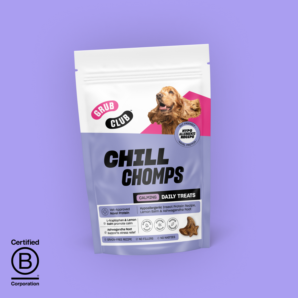 CHILL CHOMPS