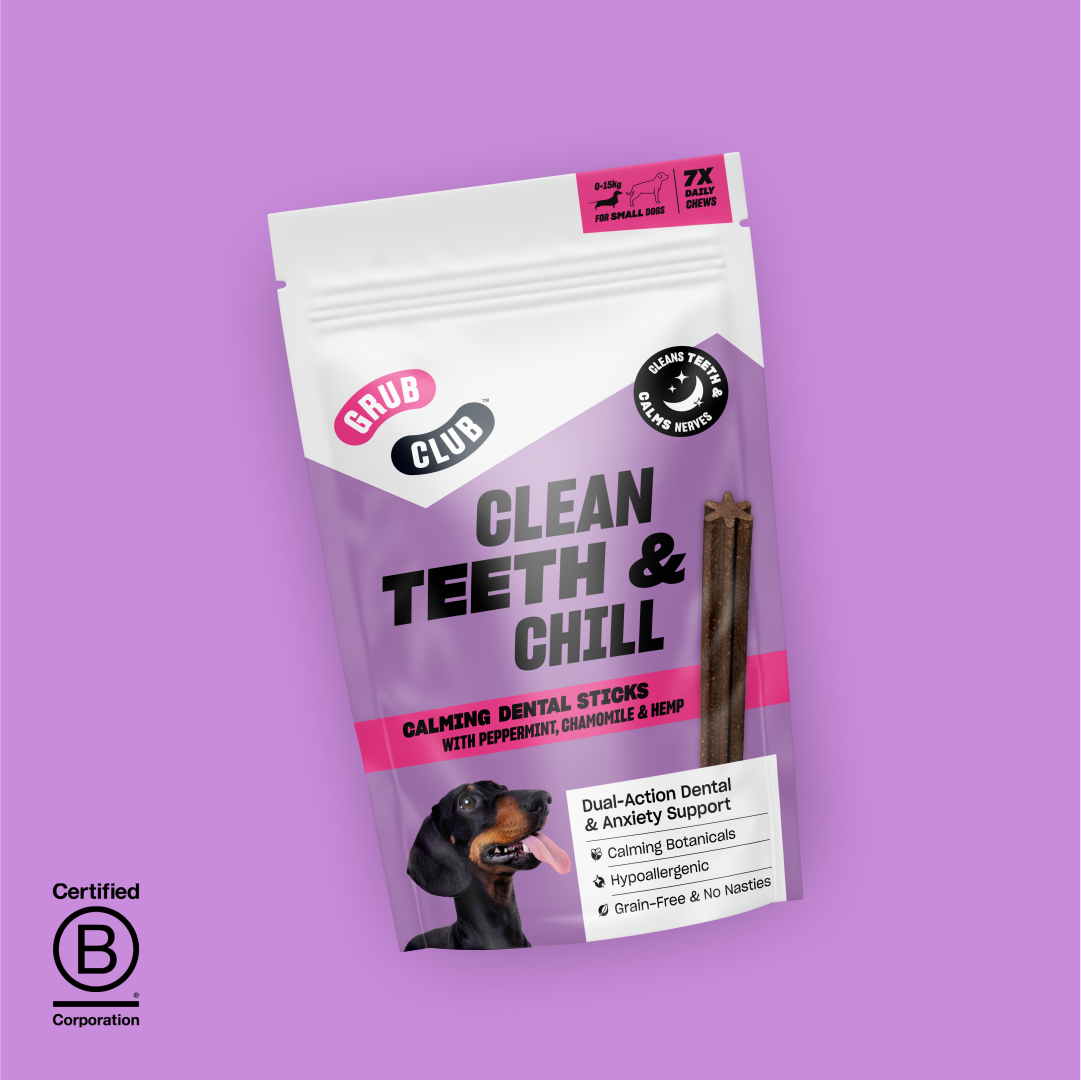 CLEAN TEETH & CHILL (SMALL)