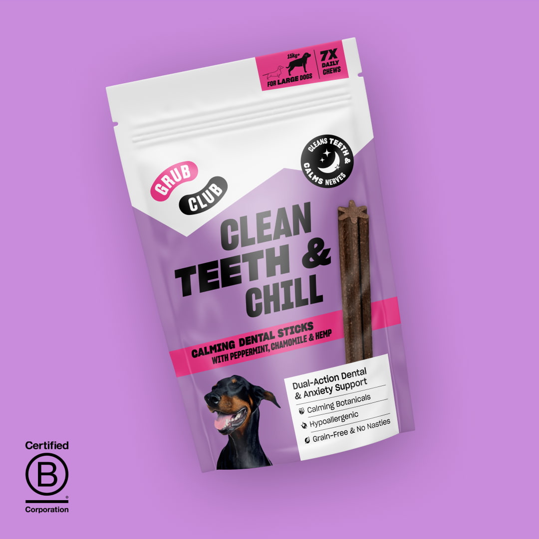 CLEAN TEETH & CHILL (LARGE)