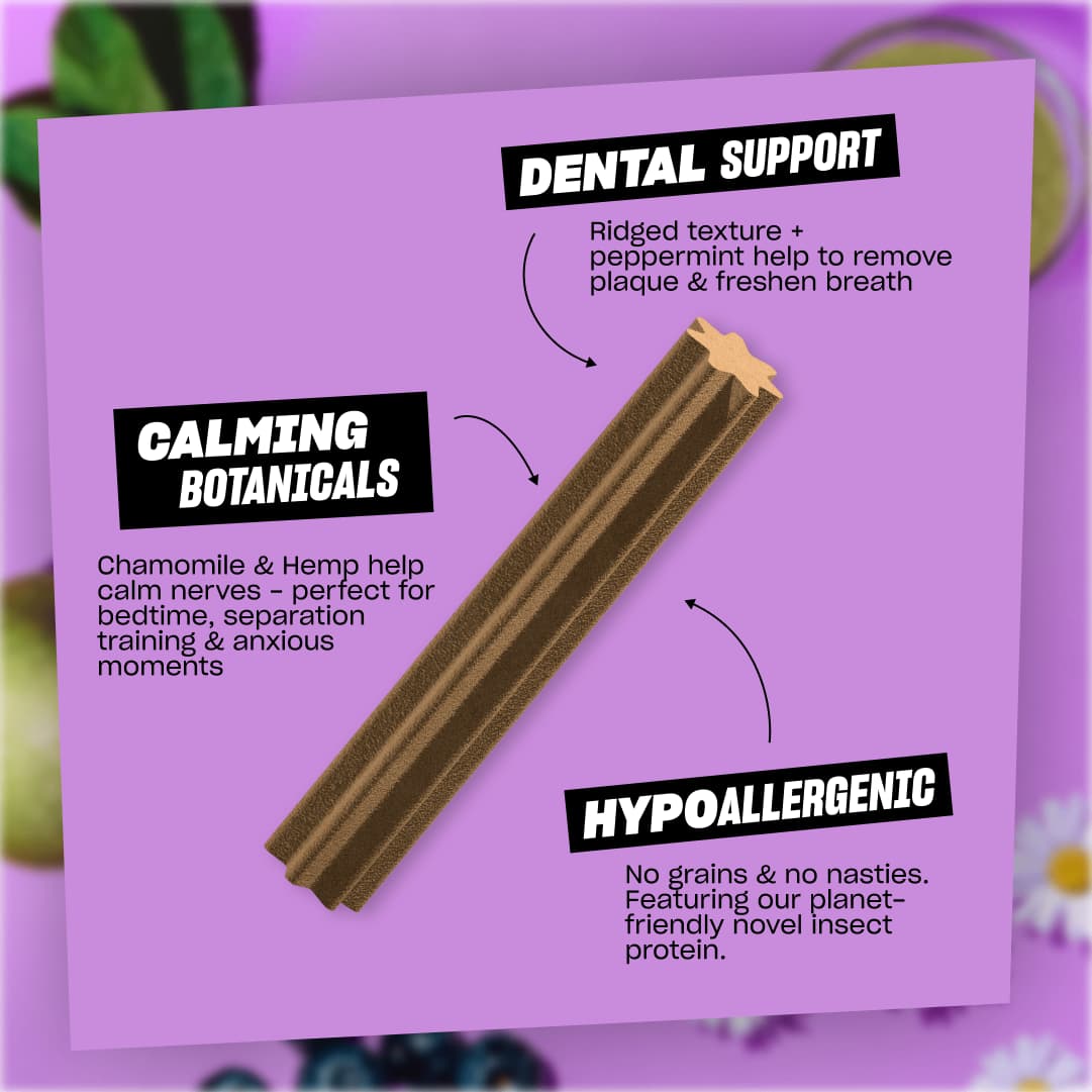 CLEAN TEETH & CHILL (LARGE)