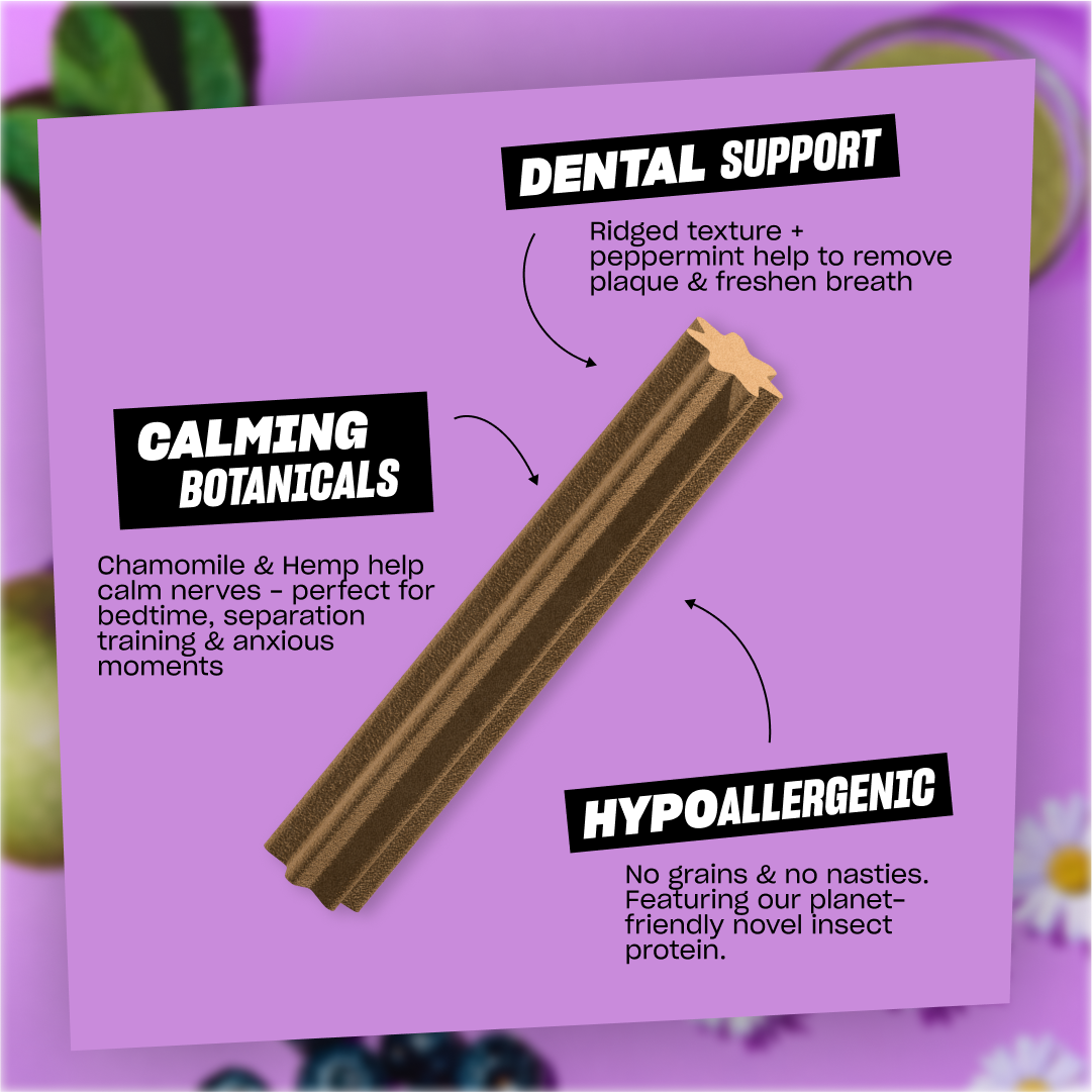 CLEAN TEETH & CHILL (SMALL)