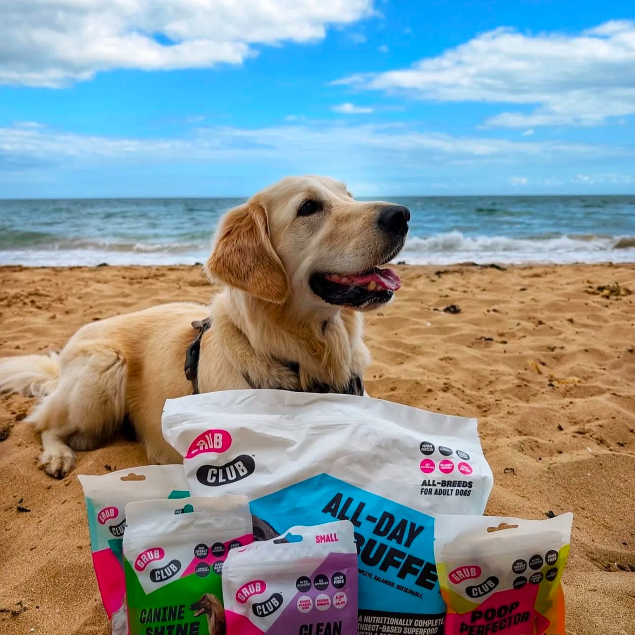 Pate Aldi Dog Food Pouches Earls Aldi Dog Food Reviews 2017 Crunch