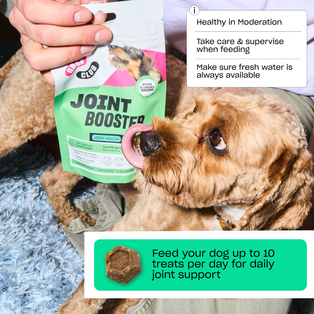 JOINT BOOSTER