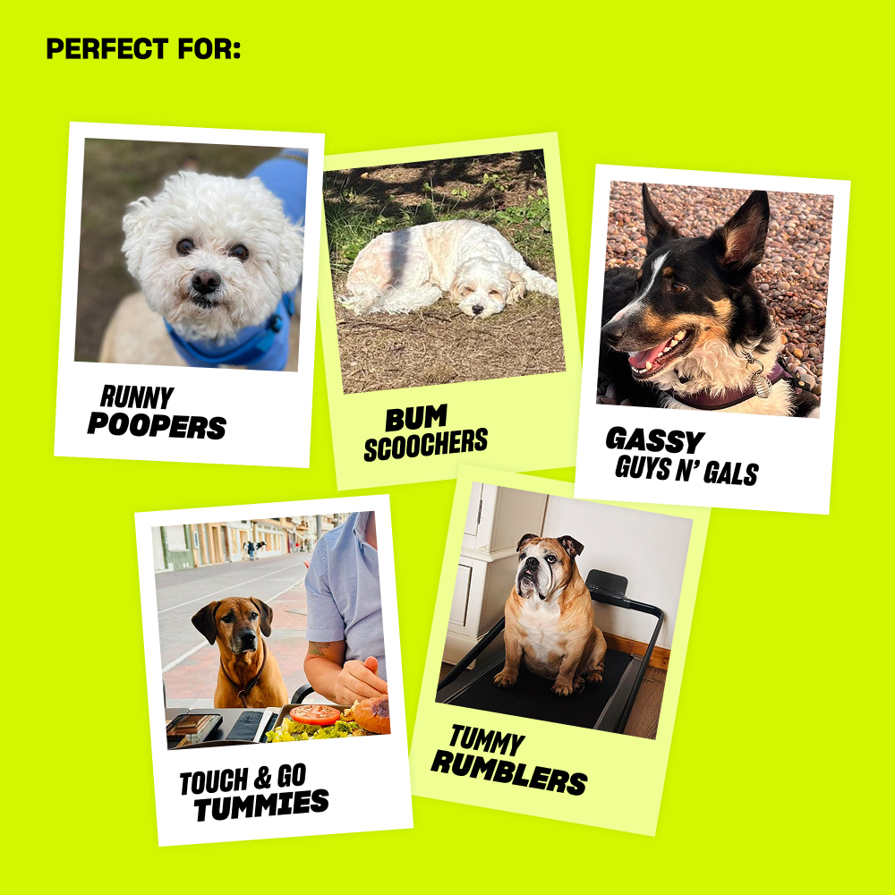 POOP PERFECTOR