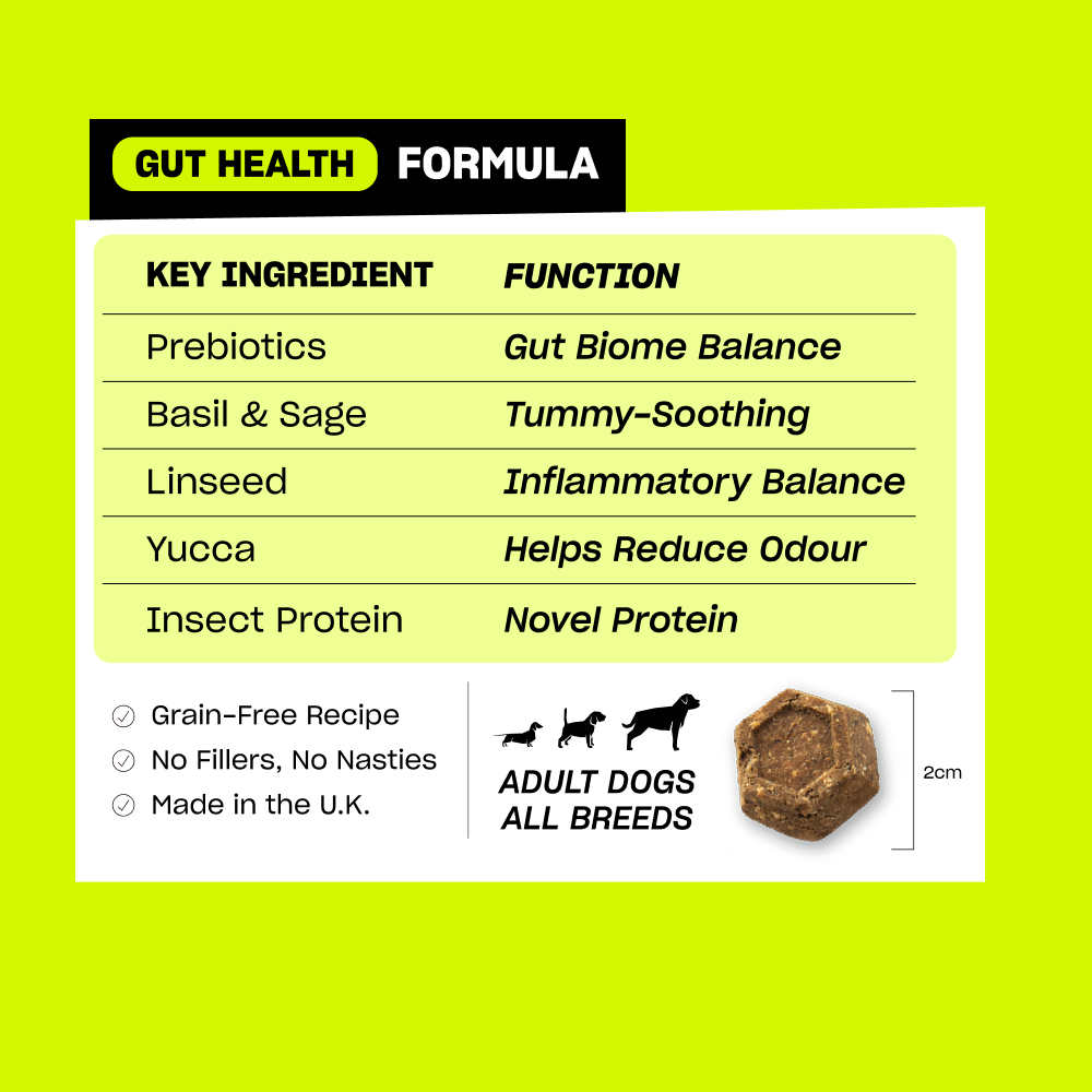 POOP PERFECTOR