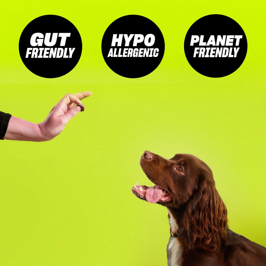 Poop Perfector - SAVER PACK