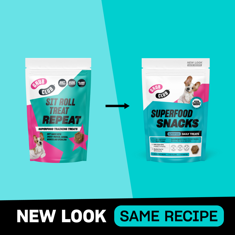 SUPERFOOD SNACKS