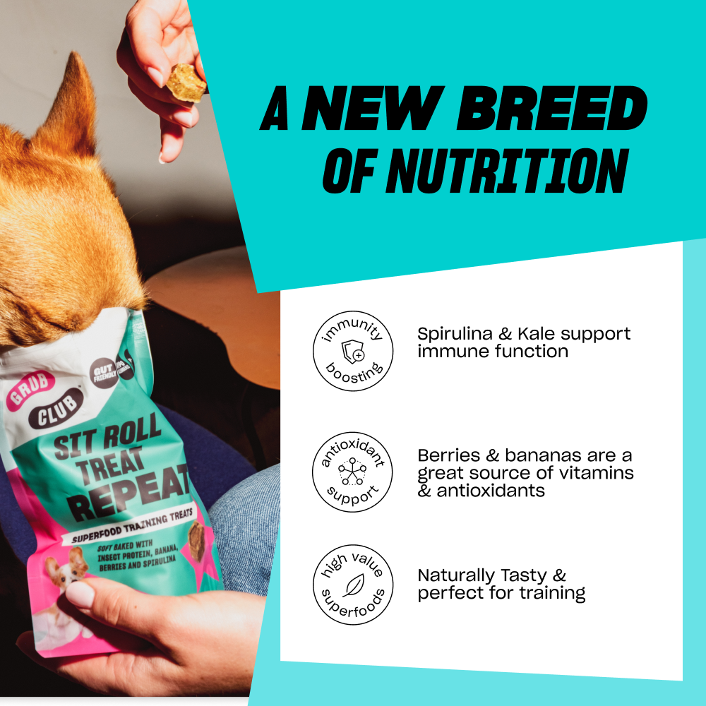 SUPERFOOD SNACKS