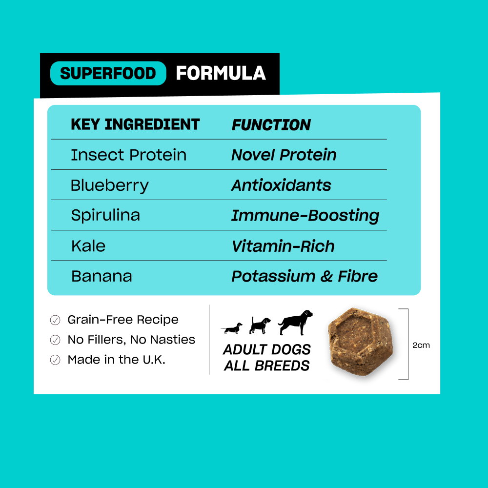 SUPERFOOD SNACKS