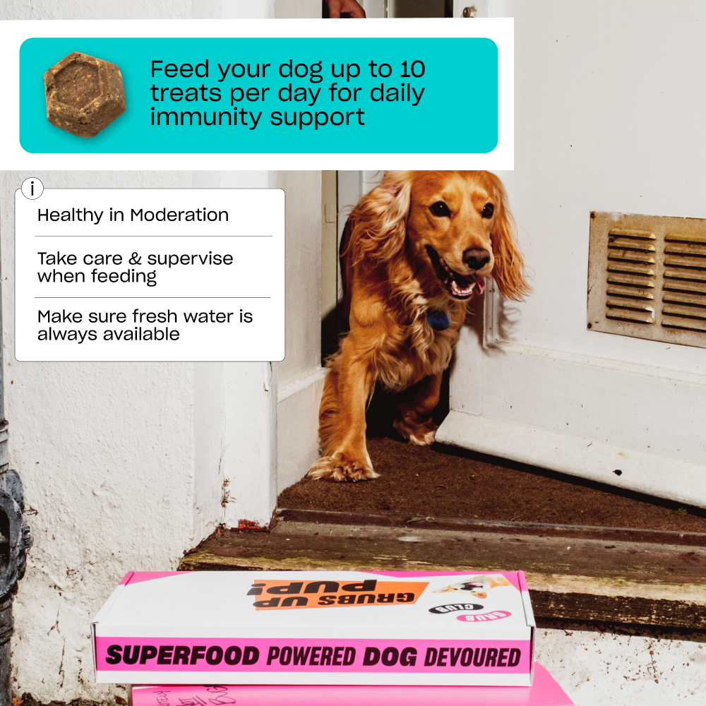 SUPERFOOD SNACKS