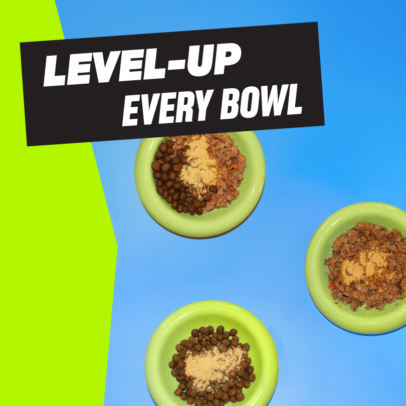 Top Dog: All-In-One