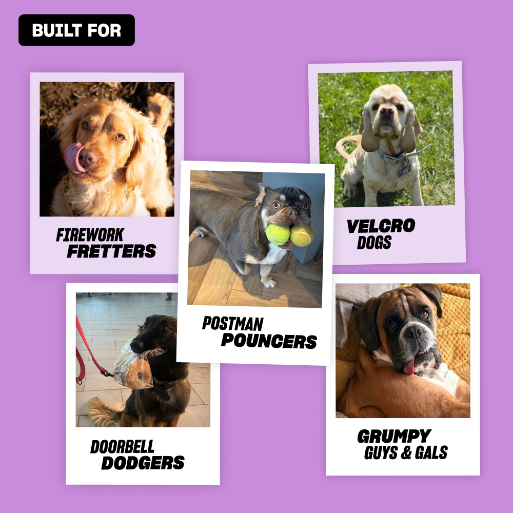 Top Dog Calm
