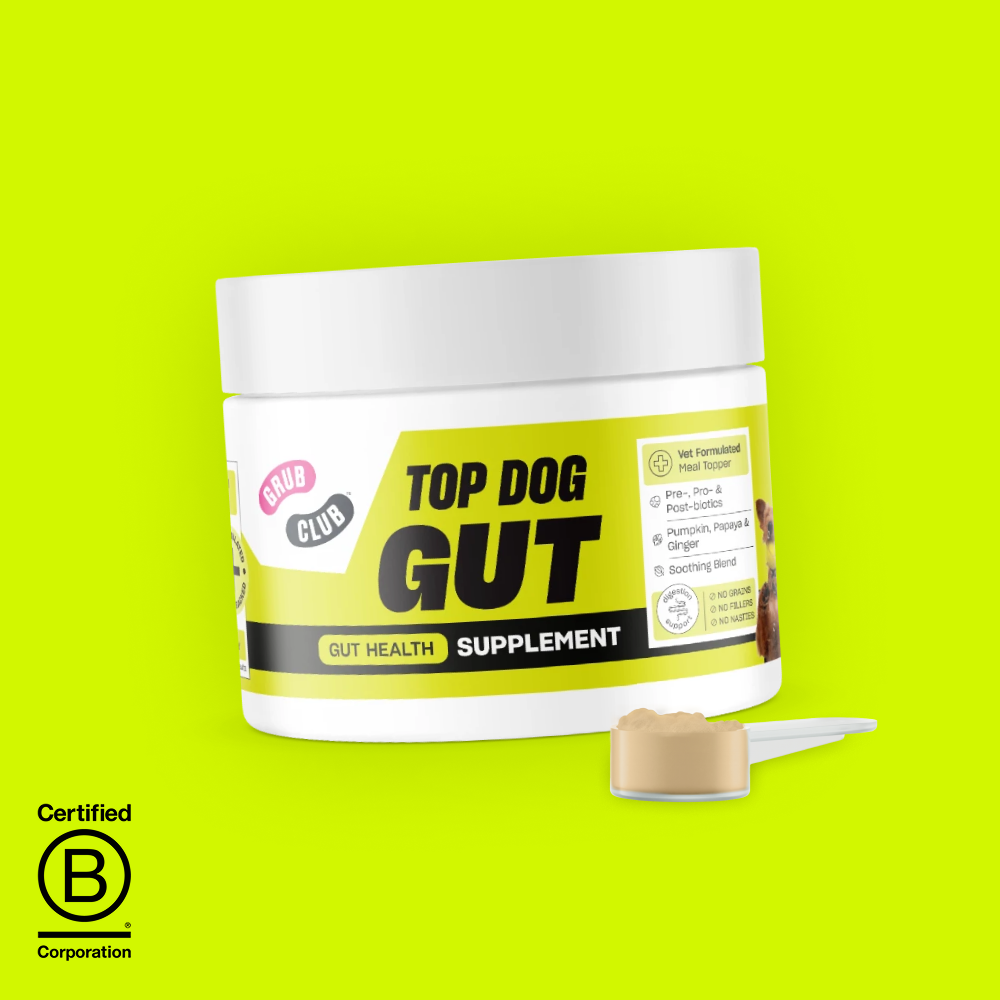 Top Dog Gut