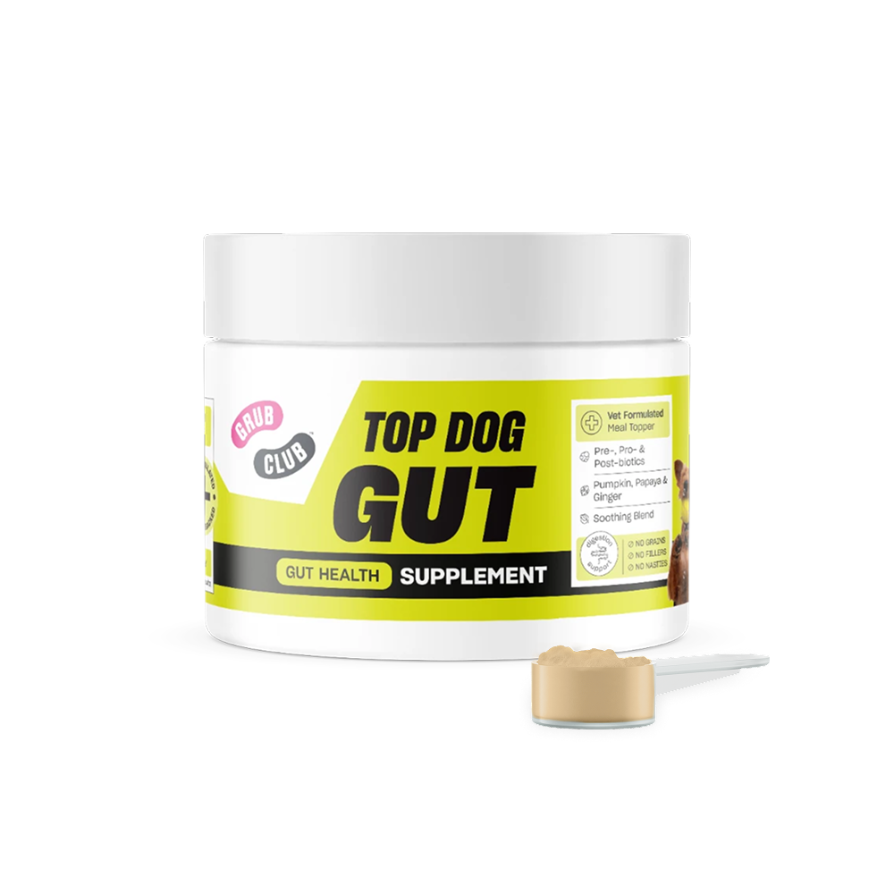 Top Dog Gut