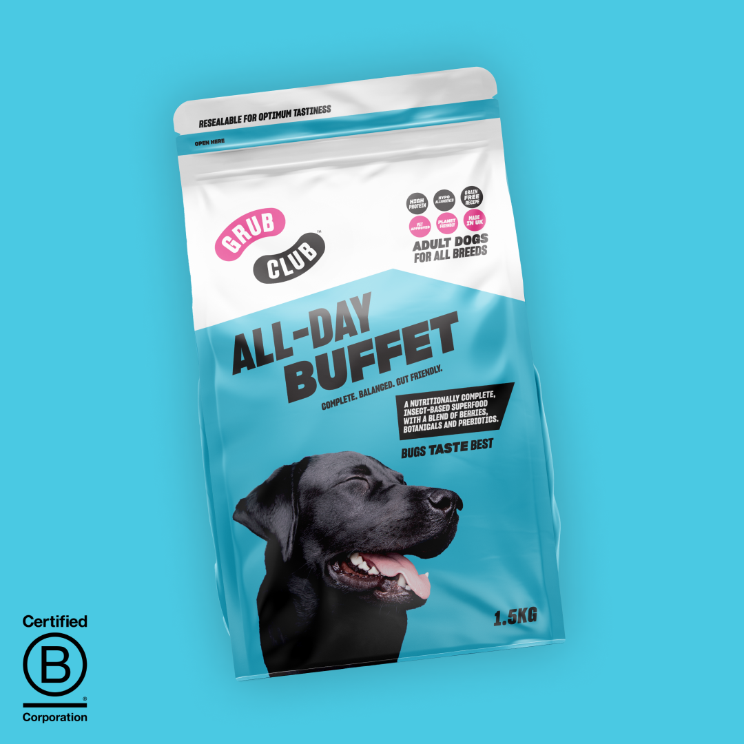 All-Day Buffet