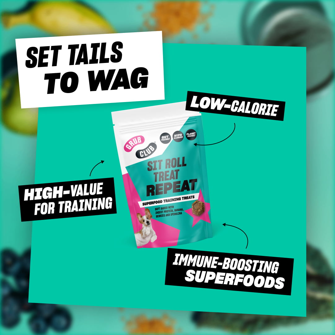 ALL-IN BUNDLE