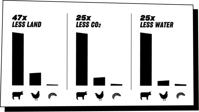  DID WE MENTION IT'S PLANET FRIENDLY?