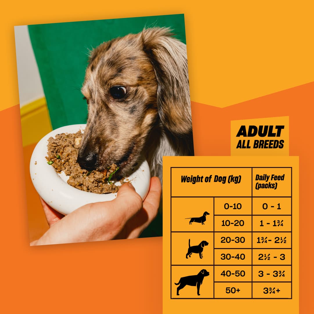 Hearty Hotpot Hypoallergenic Foods for Dogs Grub Club Pets