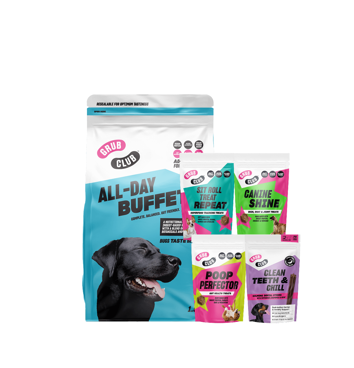 ALL-IN BUNDLE
