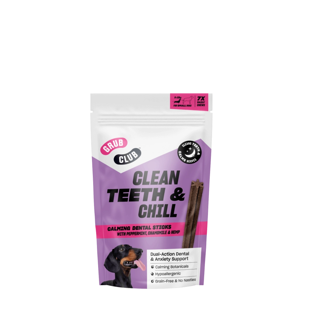 CLEAN TEETH & CHILL (SMALL)