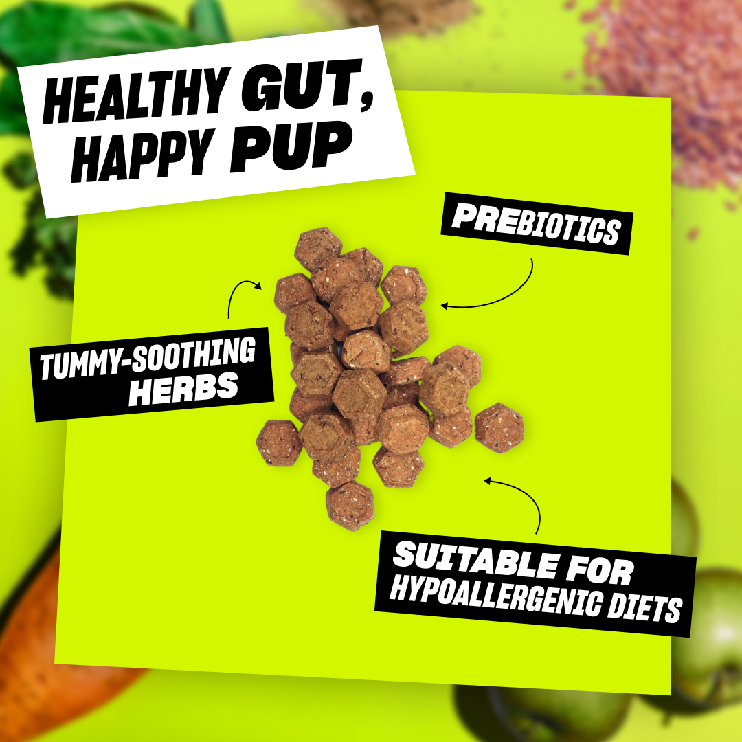Poop Perfector - SAVER PACK