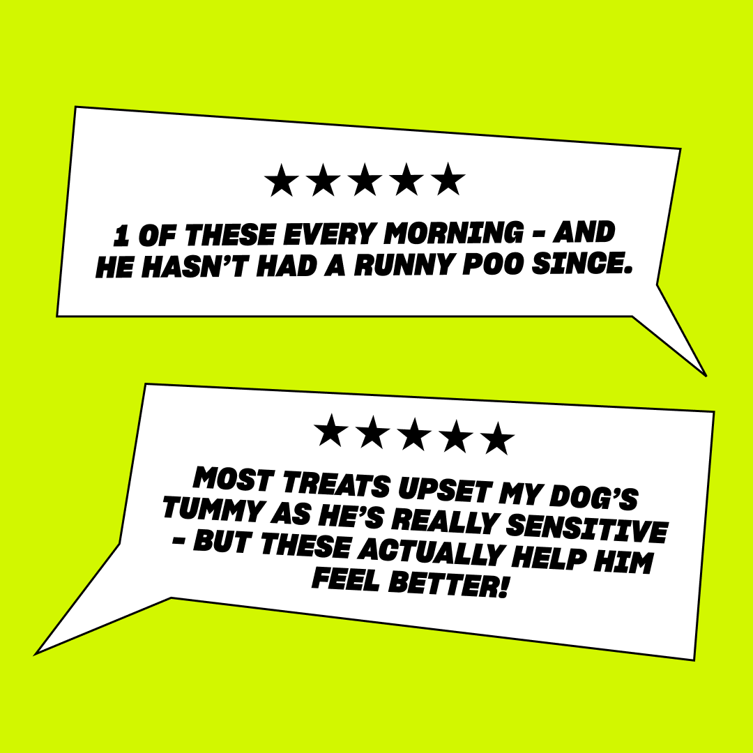 Poop Perfector - SAVER PACK