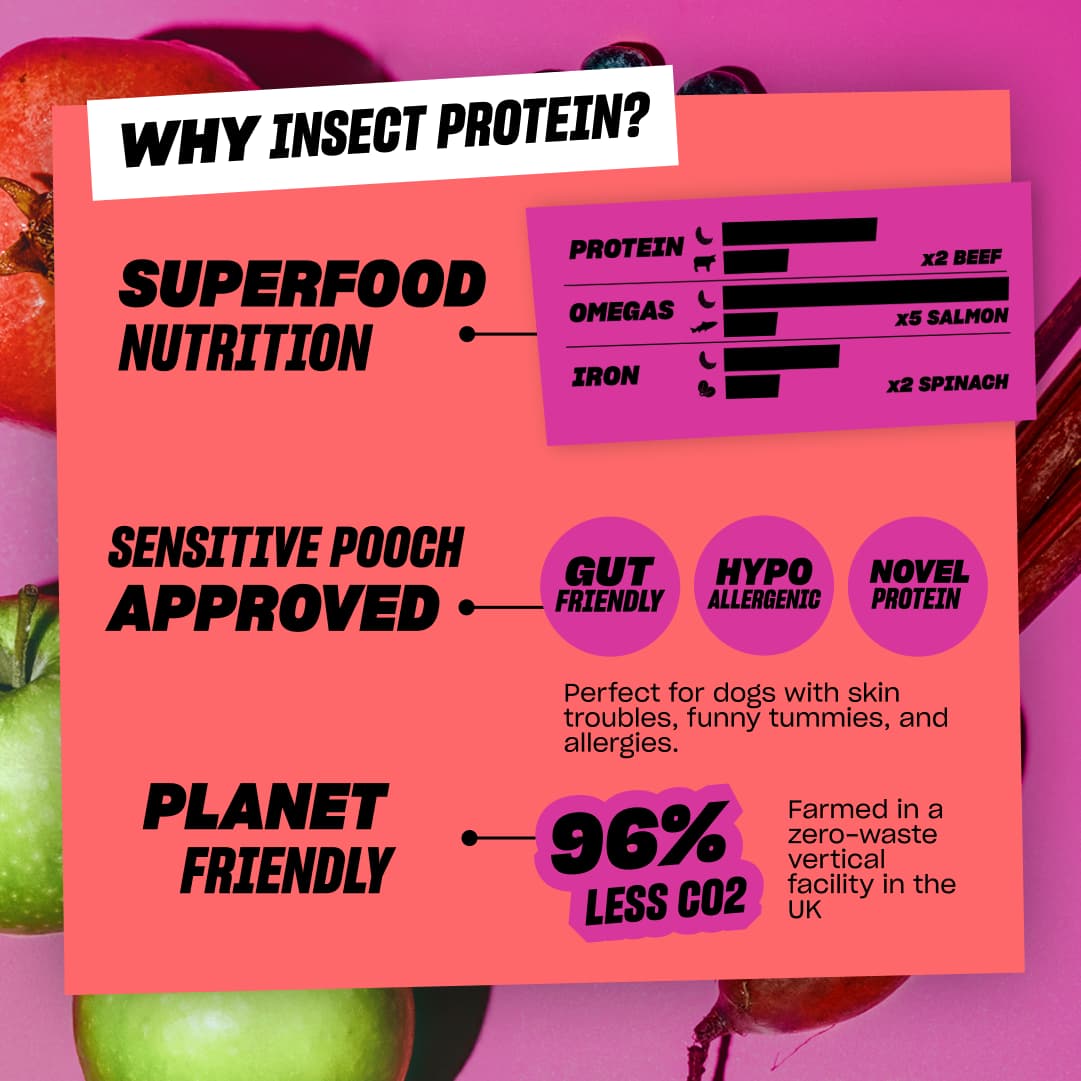 SUPERFOOD SUPPER
